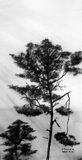 37 - 光悦树影 Entendez-vous le murmure de l'arbre quand la lumière l'entoure : 光悦树影,