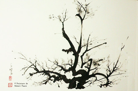 43 - 素骨 Une beauté sans arrogance : 素骨,