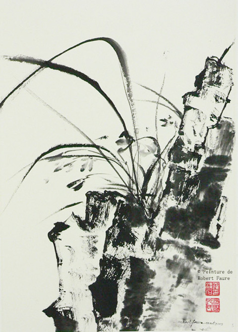 8 - 兰韵 De la roche surgit la tendre orchidée : 兰韵