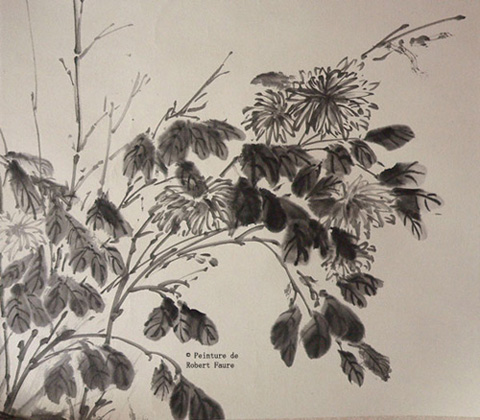 26 - 秋菊 Le chrysathème se penche humblement : 秋菊,