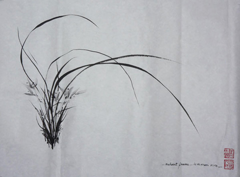 49 - 兰叶疏影 Insoutenable légèreté de l'orchidée : 兰叶疏影,